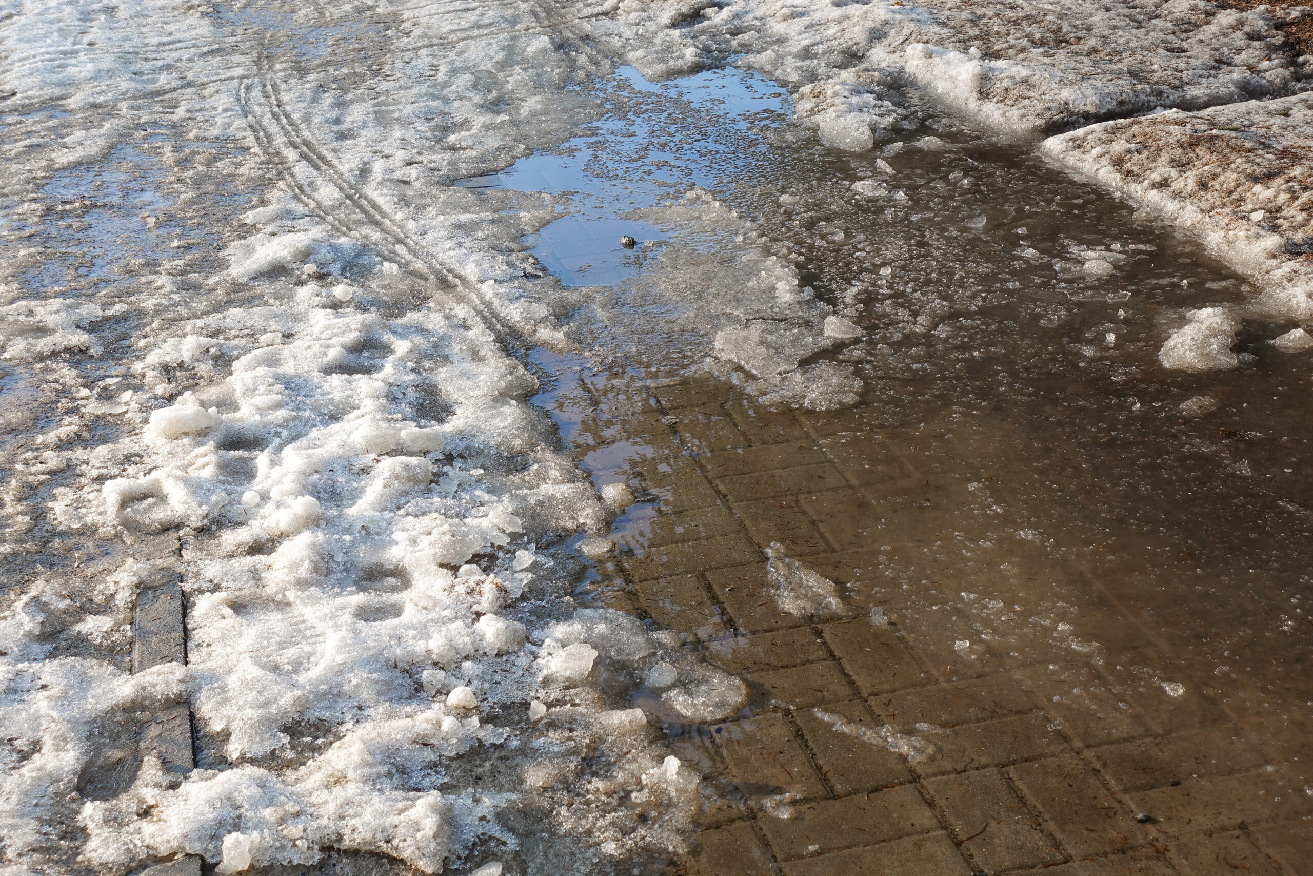 Melting snow on a concrete walkway